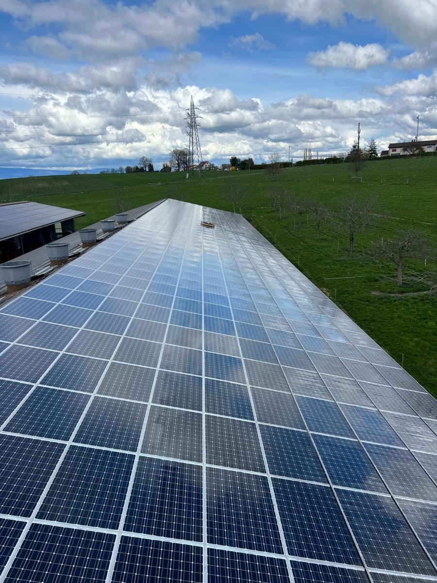 Long hangar agricole entièrement couvert de panneaux photovoltaïques, entouré de prairies