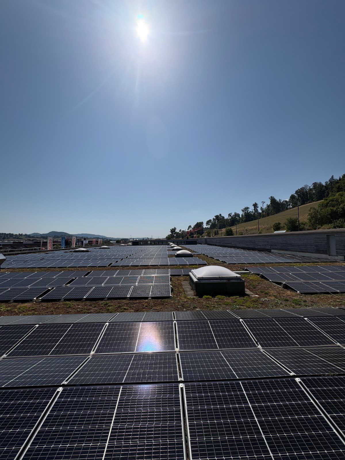 Toiture végétalisée du Migros Les Eplatures : plusieurs milliers de mètres carrés de modules posés à plat, les collines du Jura à l'arrière-plan