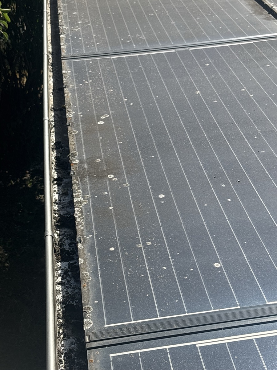 Bord bas d'une rangée de panneaux photovoltaïques : des pastilles de lichen gris-vert colonisent le chéneau et remontent sur le verre