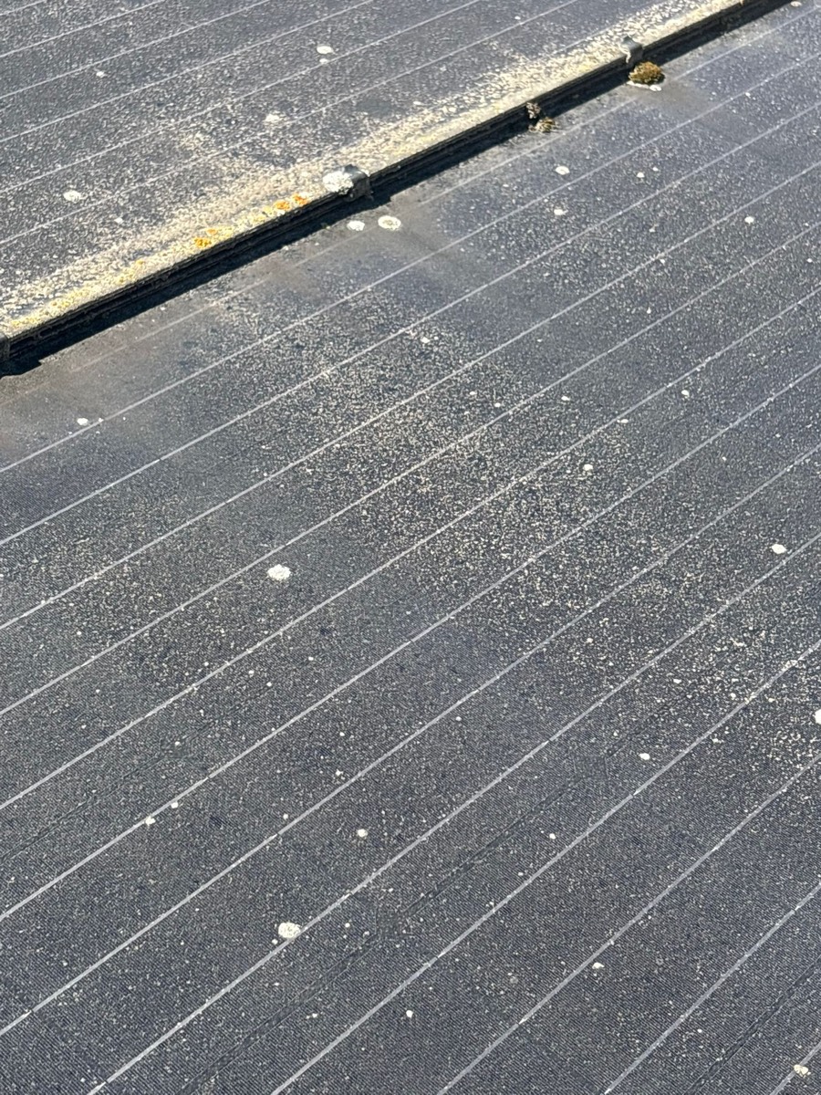 Bas d'un panneau photovoltaïque où la poussière et la mousse se sont accumulées le long du cadre en aluminium
